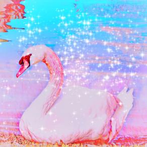 ... Specchi d'acqua!!! ...