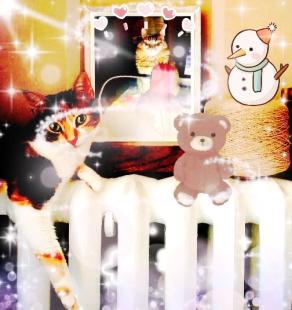 La sola 'tempesta' che Tata provoca ora è un uragano di fusa e calore !!!