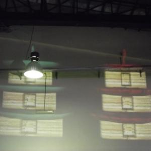 5 Elementi 5 Legno - Fuoco -Terra - Metallo - Acqua / Armonie e contrasti della natura attraverso l’Arte e il Feng shui 5 Elementi 5 Legno - Fuoco -Terra - Metallo - Acqua / Armonie e contrasti della natura attraverso l’Arte e il Feng shui