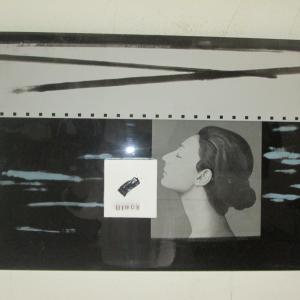 La Bellezza e la Natura