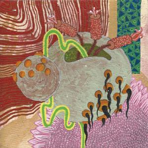 NASSER LUBAY - Nursery of Curiosities NASSER LUBAY - Nursery of Curiosities