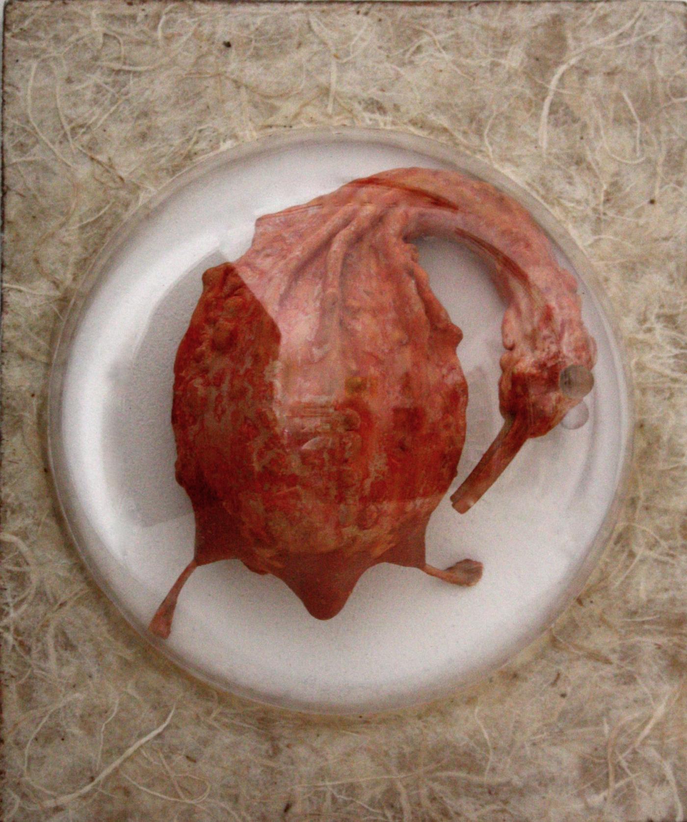 "Password:a narrative trilogy of the words"