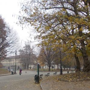 BmM - Biennale Museo MIIT BmM - Biennale Museo MIIT