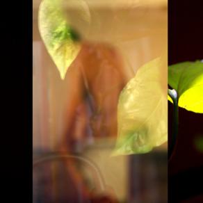 El amor duerme en el pecho del poeta