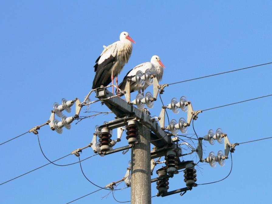 1 : <<Caro ,  possibile che .... ??