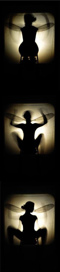 VERTICAL TRAINING VERTICAL TRAINING