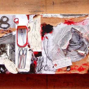 Alice Genesi attraverso