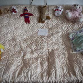 My cat, Skunk dies in the bamboo sofa.