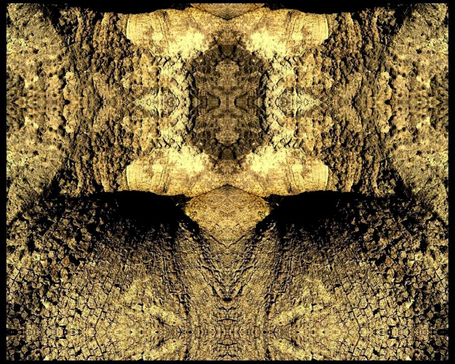 m'obnùbilo d'immenso