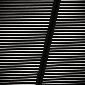 La consuetudine del genere umano 