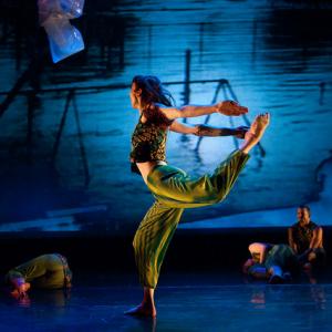 Men Think They are Better Than Grass