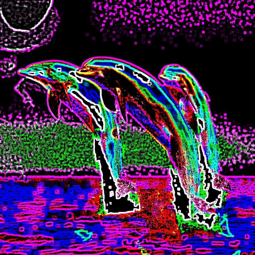 CAVALCARE LE ALI DEL VENTO A DUE PASSI DAL MARE E FINALMENTE SENTIRSI LIBERI...!!!!