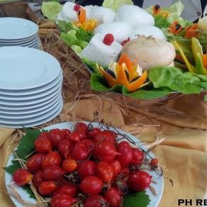 "Mangia sano, scegli Mediterraneo" - progetto del "Vittorio Veneto" di Scampia