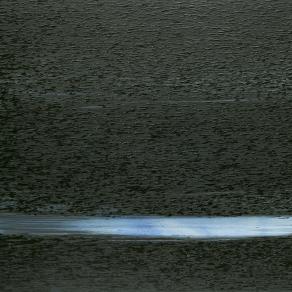 Lines - independent painting beings