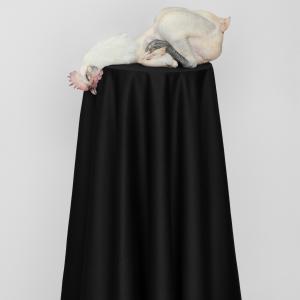 Untitled 08, from the Post series Untitled 08, from the Post series