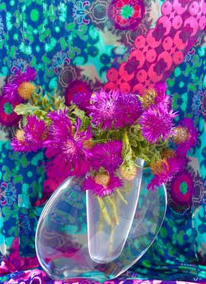 Thistles in a vase 1