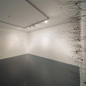'Citizen' 2016 (installation view), twigs + paper, 800 x 200 cm 'Citizen' 2016 (installation view), twigs + paper, 800 x 200 cm