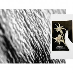 2_Tessuti Toniù 2_Tessuti Toniù