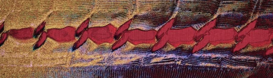 Trenino Demoniaco della Leccata Anale ♡ - Processione