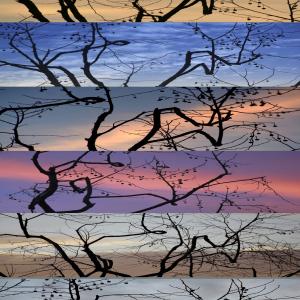 THE TREES, HEXAPTYCH THE TREES, HEXAPTYCH