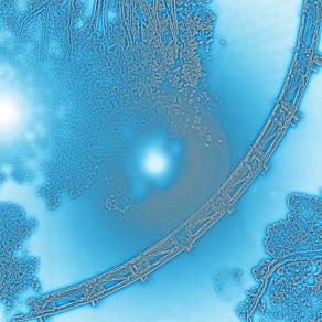 . . . Ho una scatola dei colori !!! . . . 