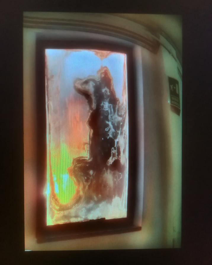 Tutte le mattine al alba il lupo aspetta il sorgere del sole 