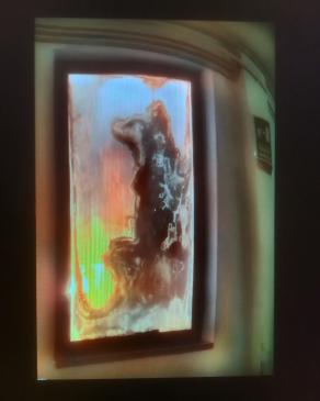 Tutte le mattine al alba il lupo aspetta il sorgere del sole 