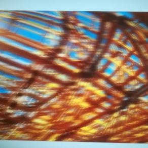 Giallo e blue  informale. It 