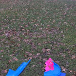 beginning of the arch