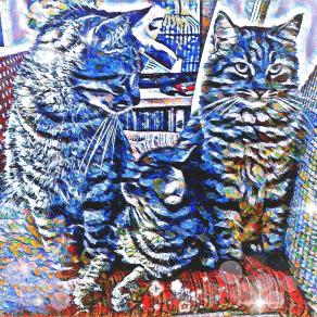        ... Dove il tempo si ferma ...