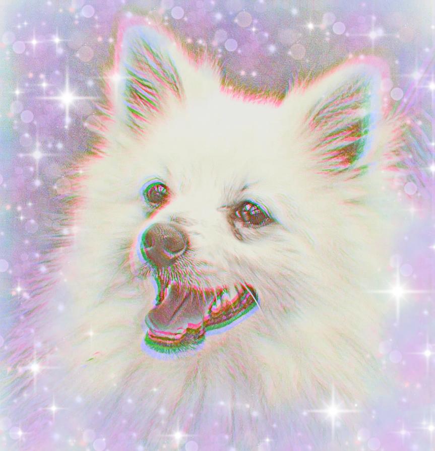 Il mondo è un posto migliore con Oliver che ci trotta dentro ...