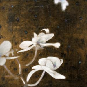 “Antropology - I fiori della nostra distrazione”, Massimo Barlettani “Antropology - I fiori della nostra distrazione”, Massimo Barlettani