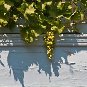 Georgia. In the East, where the West begins 2/2