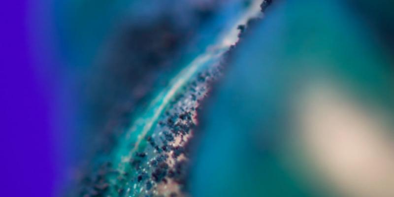 "Aperitif with the artist: Maristella Angeli Virtual Art Exhibition" Riflessi "