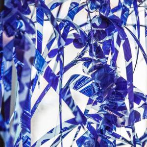 IO SONO QUEL CHE SONO  Postreality Test