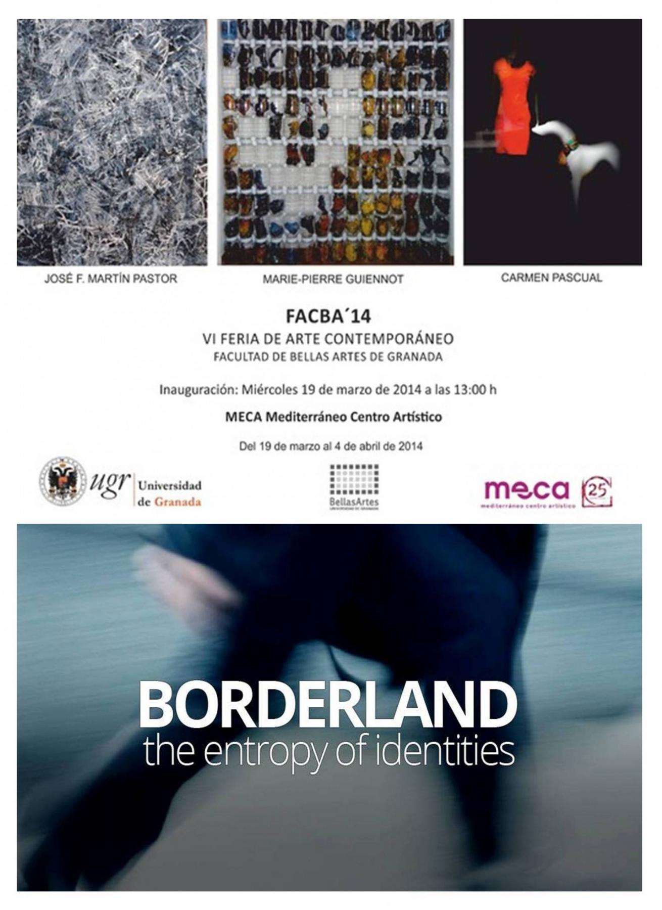 MECA y BORDERLAND The entropy of identities en FACBA´14. 