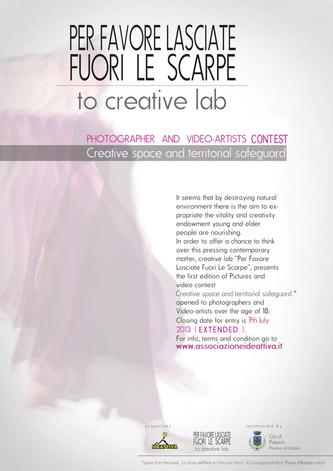 creative space and territorial safeguard - deadline 7 July 2013