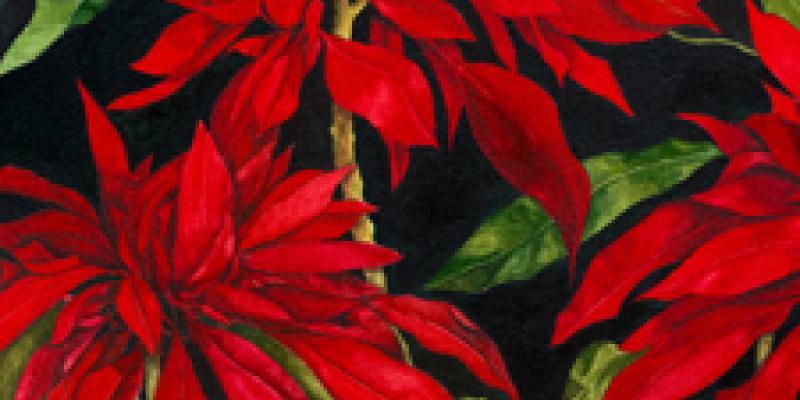 Seasons Art Exhibition Now Online and Ready to View