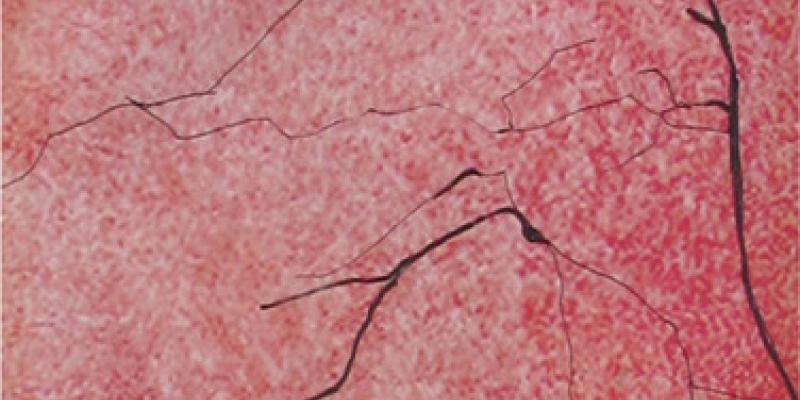 Buddha Sattva - Legge del ritmo e dell'armonia