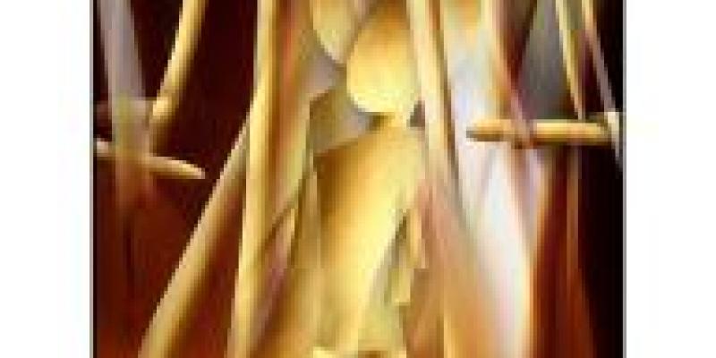 amstedam whitney gallery