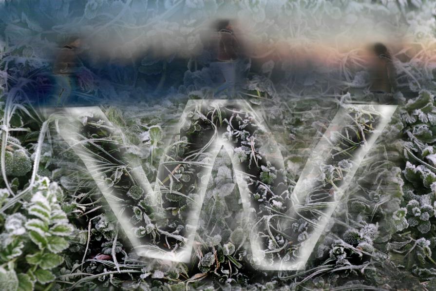 wwwwwwwwwwwwwwww   di winter.