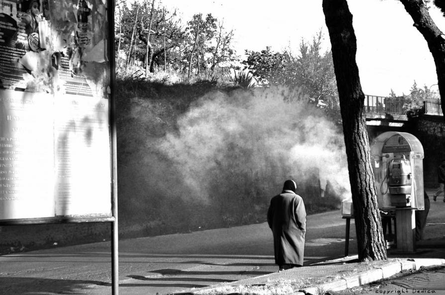 Carcioffole Carcioffole