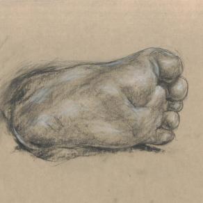 foot of baby