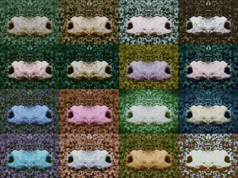 HANDS PUZZLE - parte 2