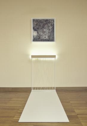 'geometrie assolute per ordinare le tempeste'