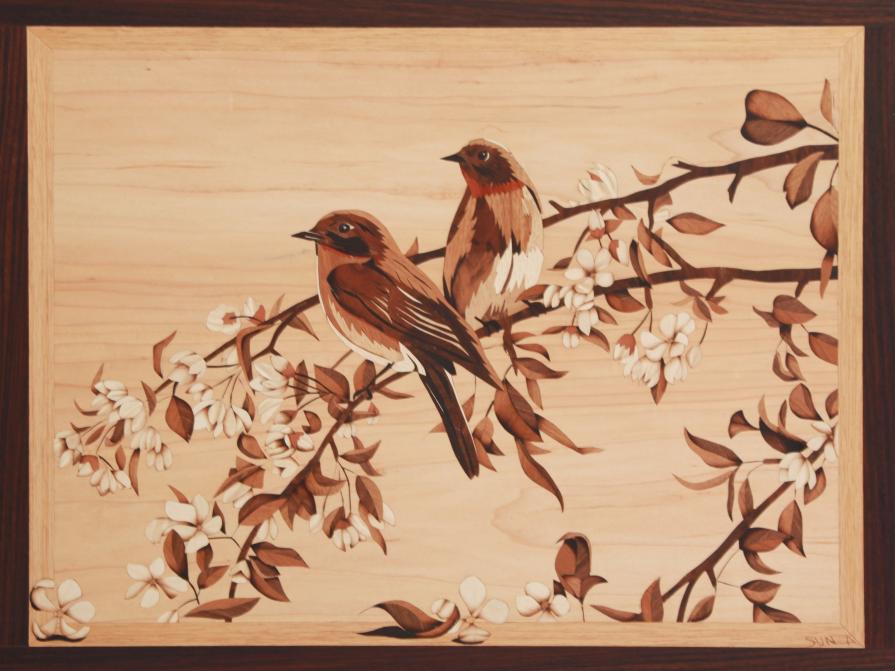 IL VOLO DI PRIMAVERA