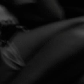 Mosso da emozione II - Moved by emotion II