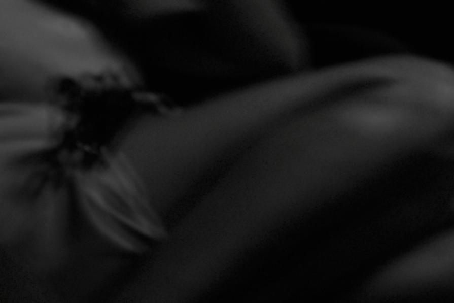 Mosso da emozione II - Moved by emotion II