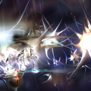 progrediti dalla stessa matrice,poco serve togliere la vita,come poco serve offendere altrui..