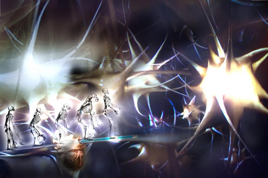 progrediti dalla stessa matrice,poco serve togliere la vita,come poco serve offendere altrui..